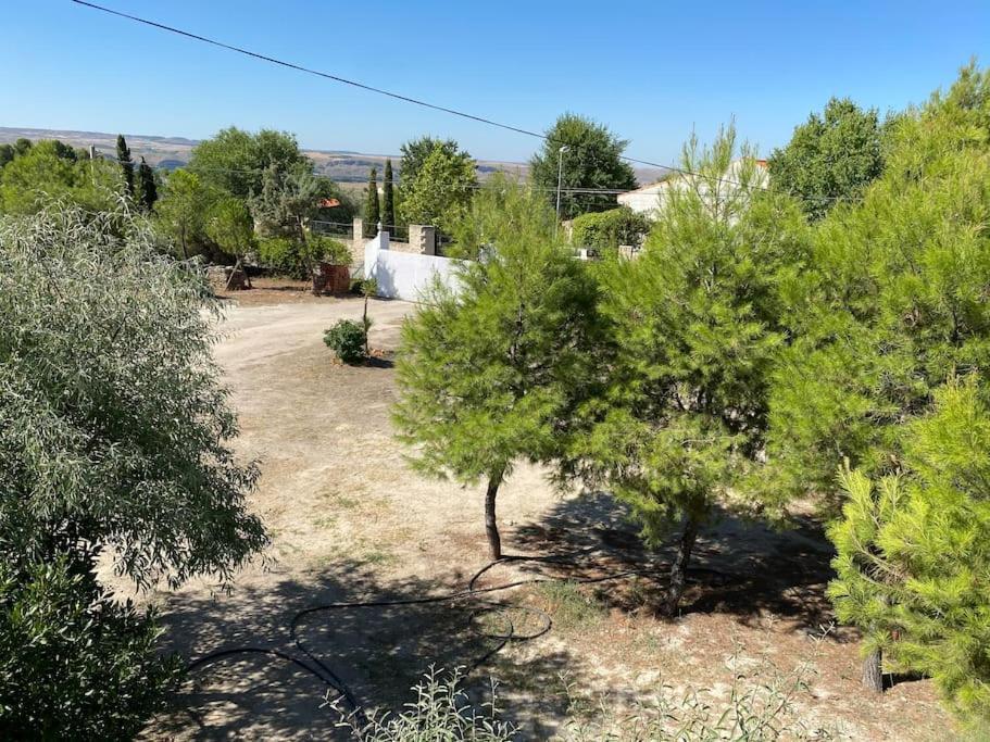 Colmenar de Oreja Finca Los Nardos De Miraltajo מראה חיצוני תמונה